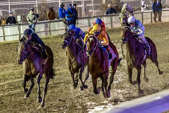 Sierra Leone, shown winning the Risen Star Stakes, is favorite for Saturday's Grade I Blue Grass at Keeneland. Photo courtesy of Fair Grounds