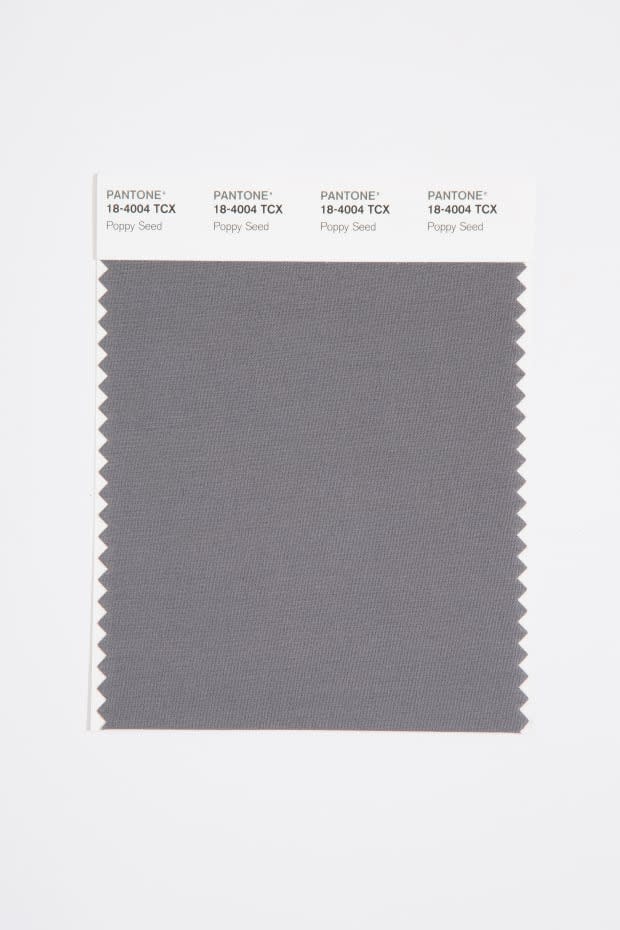 <p>18-4004 Poppy Seed: "The silent power of deep gray Poppy Seed contains timeless familiarity."</p>