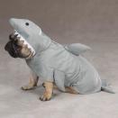 <div class="caption-credit"> Photo by: Spoilurpets.com</div><div class="caption-title">6. Full Body Costume</div>A scary shark costume complete with teeth and fins! <br> <i><a rel="nofollow noopener" href="http://blogs.babble.com/pets/2012/08/14/does-your-pet-love-shark-week-too-6-shark-costumes-for-your-dog-or-cat/#full-body-costume" target="_blank" data-ylk="slk:Get it from Spoilurpets, $12.99;elm:context_link;itc:0;sec:content-canvas" class="link ">Get it from Spoilurpets, $12.99</a> <br></i> <b><i><a rel="nofollow noopener" href="http://blogs.babble.com/family-style/2012/02/02/10-pet-fashions-for-all-you-animal-lovers-out-there/" target="_blank" data-ylk="slk:For 10 must-have fashions for your pet, visit Babble!;elm:context_link;itc:0;sec:content-canvas" class="link ">For 10 must-have fashions for your pet, visit Babble!</a></i></b>