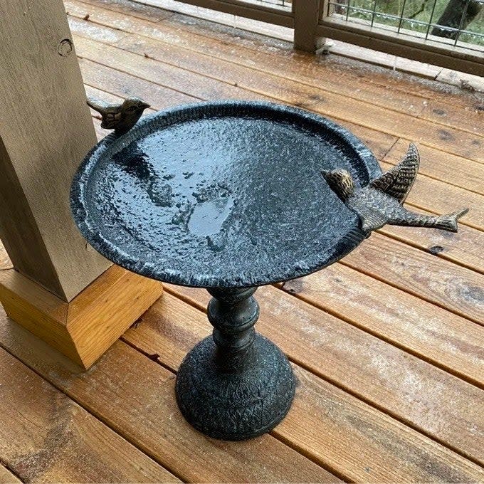 a reviewer photo of the birdbath on a deck