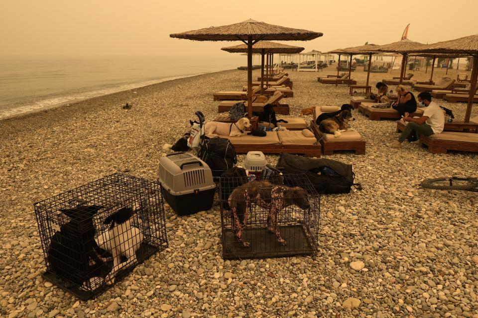 People and pets gather on the beach during a wildfire at Pefki village on Evia island, about 189 kilometers (118 miles) north of Athens, Greece, Monday, Aug. 9, 2021. Firefighters and residents battled a massive forest fire on Greece's second largest island for a seventh day Monday, fighting to save what they can from flames that have decimated vast tracts of pristine forest, destroyed homes and businesses and sent thousands fleeing. (AP Photo/Petros Karadjias)