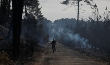 A cyclist is seen on a road after a forest fire near Marinha Grande, Portugal, October 17, 2017. REUTERS/Rafael Marchante