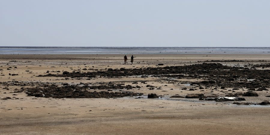 The Kakhov reservoir is gradually turning into a desert