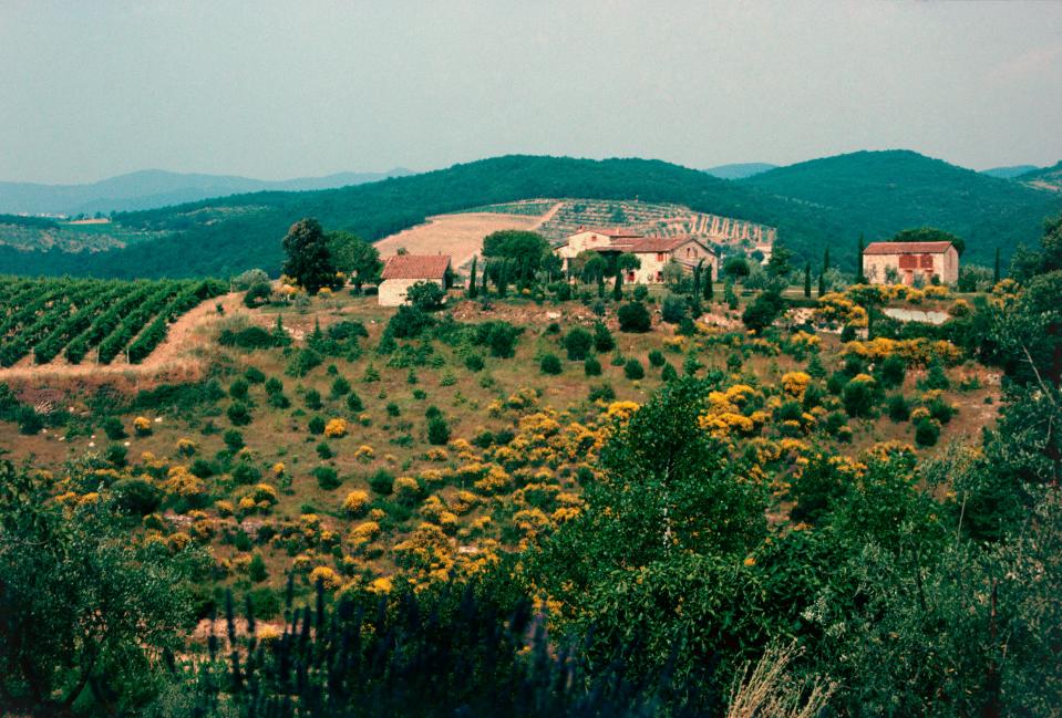 A view of the countryside in Tuscany, Italy