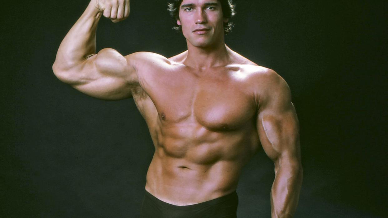 arnold schwarzenegger