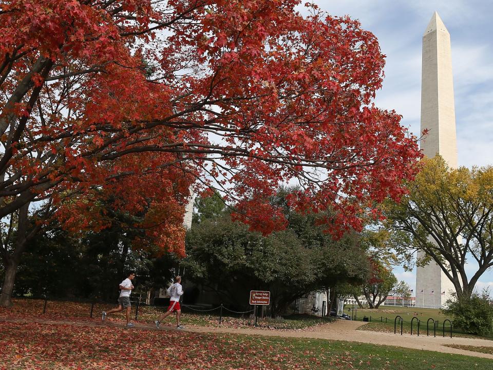 washington dc fall foliage