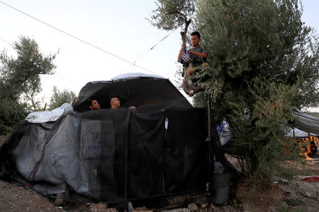 A migrant climbs on a tree as others look on at a makeshift camp next to the Moria camp for refugees and migrants on the island of Lesbos, Greece, September 17, 2018. Picture taken September 17, 2018. REUTERS/Giorgos Moutafis