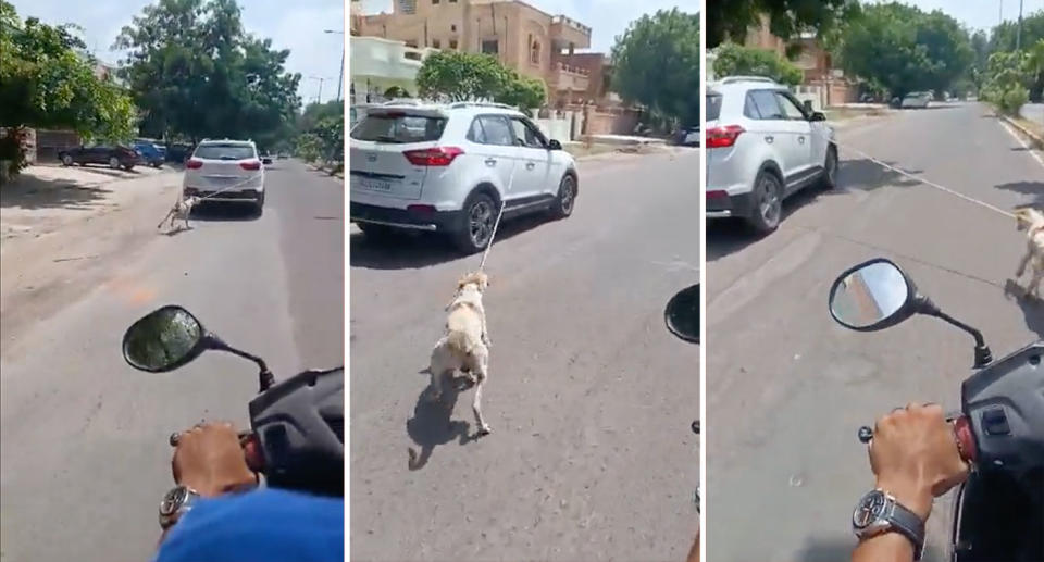 A dog was chained to a car and dragged through the street. Source: Twitter/Dog Home Foundation