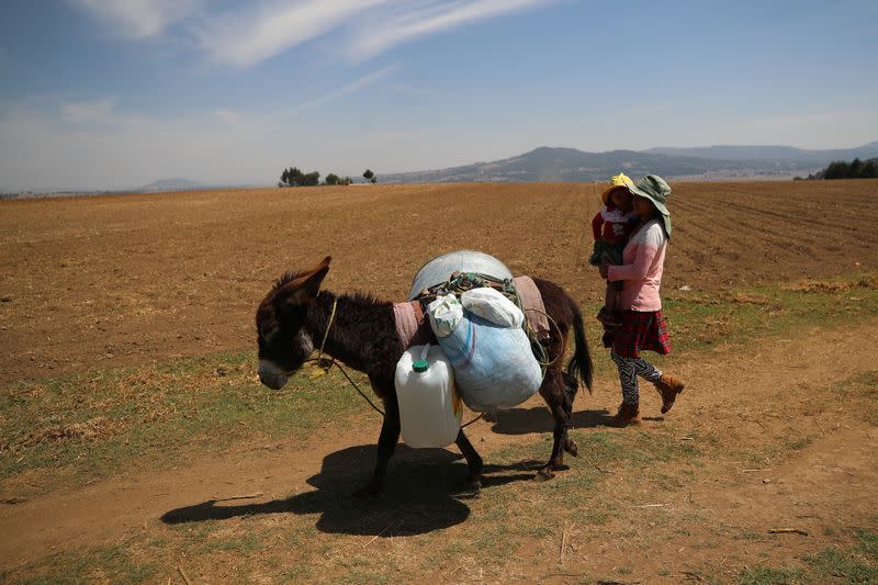 Mexico City's thirst for water lays bare inequalities, changing climate