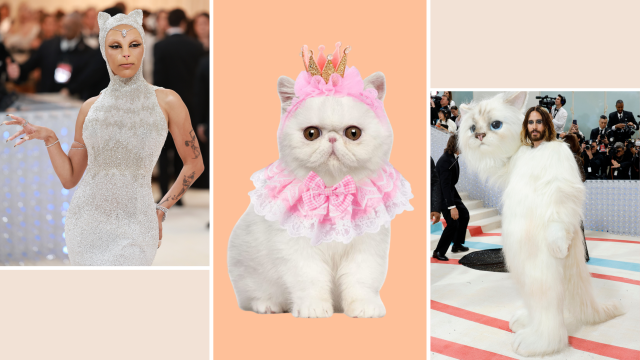 No, Karl Lagerfeld's Pet Cat Choupette Won't Be At Met Gala