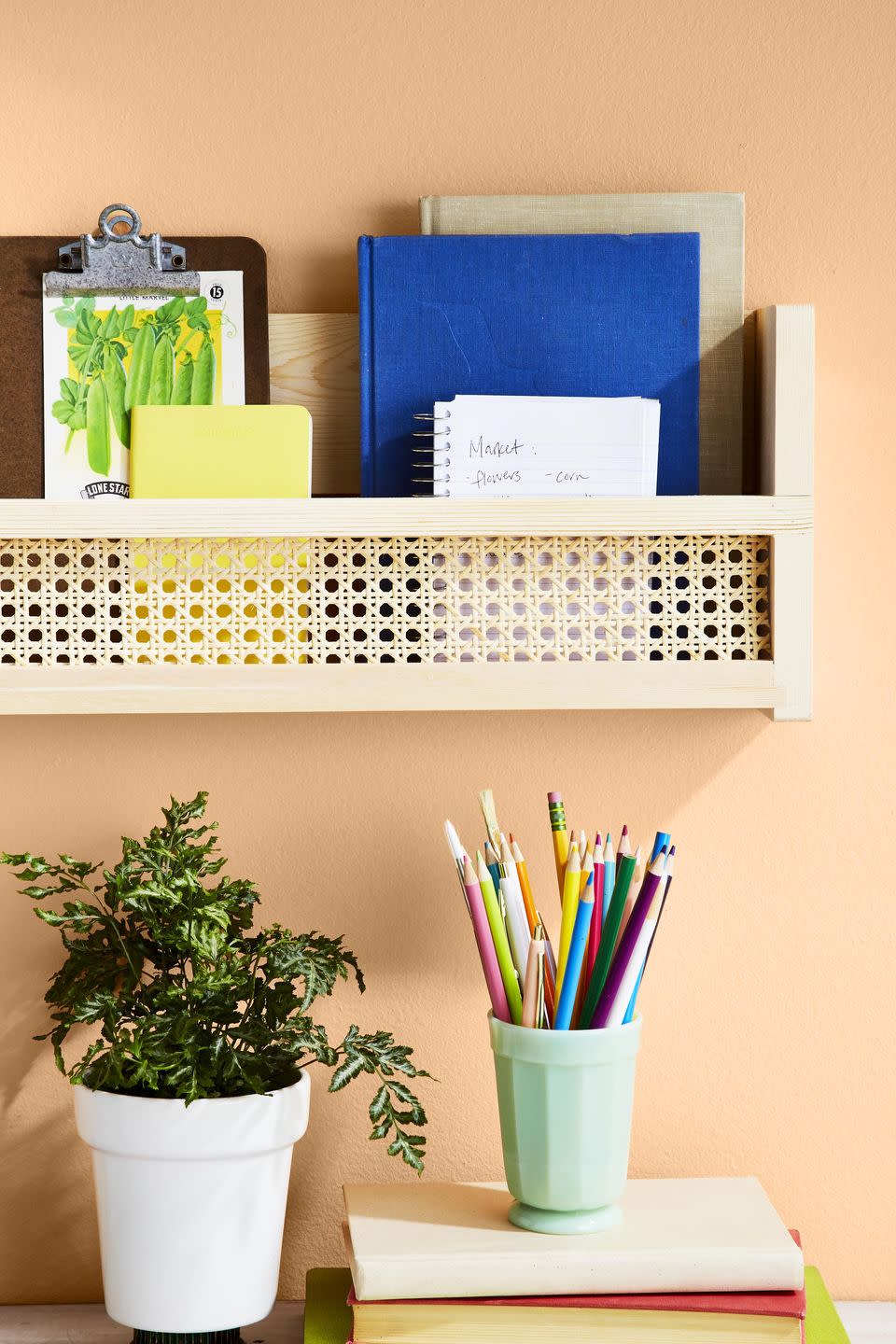 Cane Webbing Bookshelf