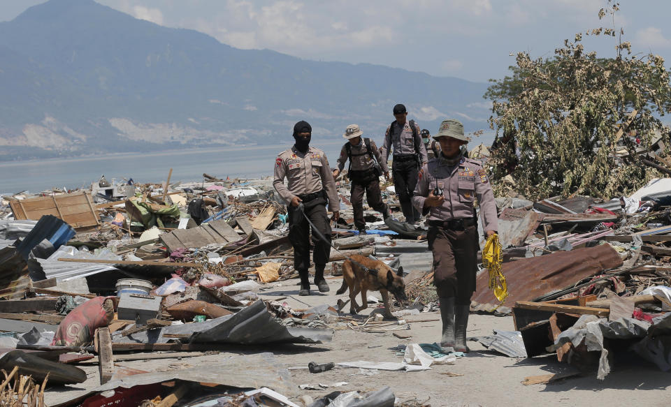 A police K9 unit continues to search for victims in the wreckage following earthquakes and a tsunami in Palu, Central Sulawesi Indonesia, Wednesday, Oct. 3, 2018. Aid was slowly making its way into areas devastated by the earthquake and tsunami that struck a central Indonesian island, with one neighborhood's residents clapping, cheering and high-fiving in their excitement Wednesday at seeing a stopped truck laden with supplies. (AP Photo/Tatan Syuflana)