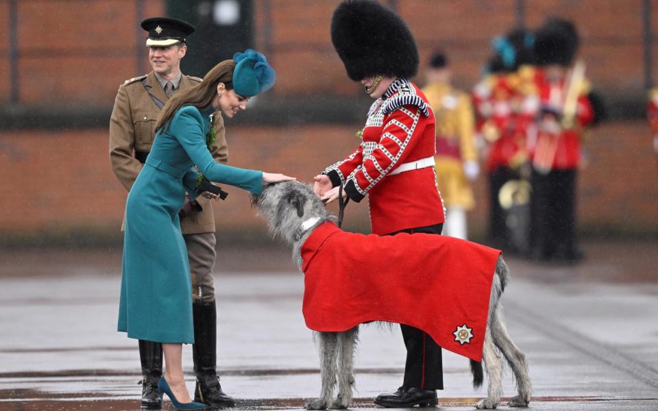 The Princess of Wales pets the Irish Guards' mascot, an Irish Wolfhound named Seamus - REUTERS/Toby Melville