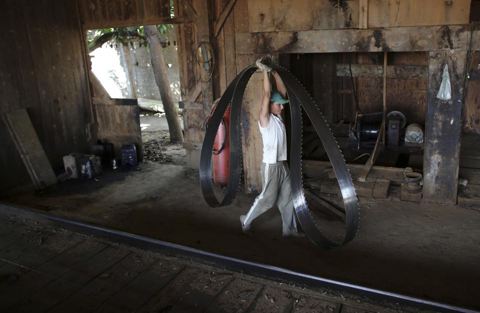 File photo of a worker carrying a blade at a sawmill that processes trees illegally logged from the Amazon jungle near Morais Almeida