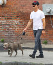 <p>Justin Theroux and his loyal pup Kuma take a walk in the Hudson Valley area of New York on Aug. 15.</p>
