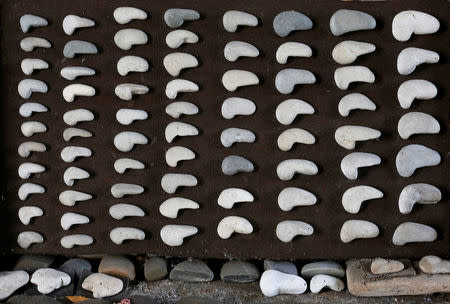 Stones collected by Luigi Lineri are seen at his home workshop in Zevio, near Verona, Italy, June 10, 2016. REUTERS/Alessandro Bianchi