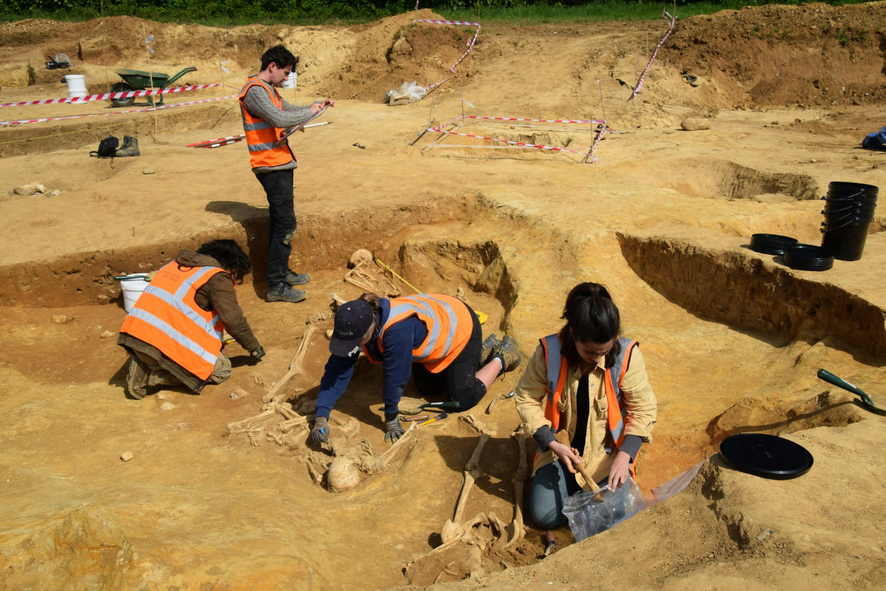 A collection of decapitated skeletons have been unearthed at an archaeological dig at Roman ruins near Great Whelnetham, in Suffolk.