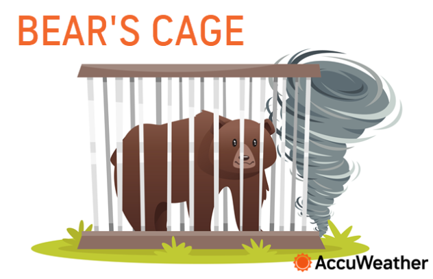 Wacky Weather Words: Bear's Cage