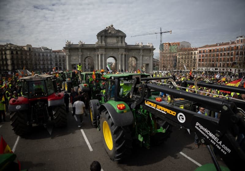 Dozens of tractors arrive at Puerta de Alcala during the sixteenth day of farmers' protests by tractors on Spanish roads to demand improvements in the sector, including aid to address the droughts suffered by the countryside. Eduardo Parra/EUROPA PRESS/dpa