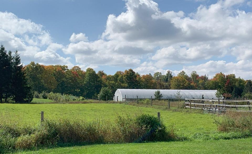 A high tunnel or hoop house is a specialized form of greenhouse.