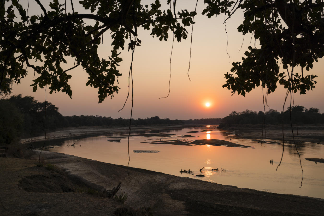 Bernard Mutondo, quien solía ser cazador furtivo de elefantes dentro del Parque Nacional de North Luangwa, de pie en su maizal en la aldea de Lushinga, Zambia, el 31 de agosto de 2022. (Gulshan Khan/The New York Times)
