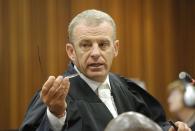 State prosecutor Gerrie Nel questions a defense forensic witness in the ongoing murder trial of Oscar Pistorius at the high court in Pretoria, South Africa, Monday, May 12, 2014. Pistorius is charged with the shooting death of his girlfriend Reeva Steenkamp on Valentine's Day in 2013. (AP Photo/Kim Ludbrook, Pool)