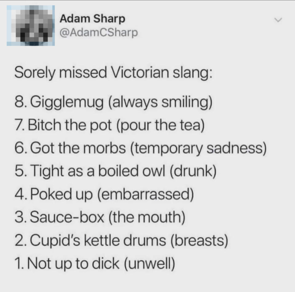 A list of "Sorely missed Victorian slang" phrases on a social media post by Adam Sharp, including "Not up to dick" (unwell), "Got the morbs" (temporary sadness), "Bitch the pot" (pour the tea), and "Tight as a boiled owl" (drunk)