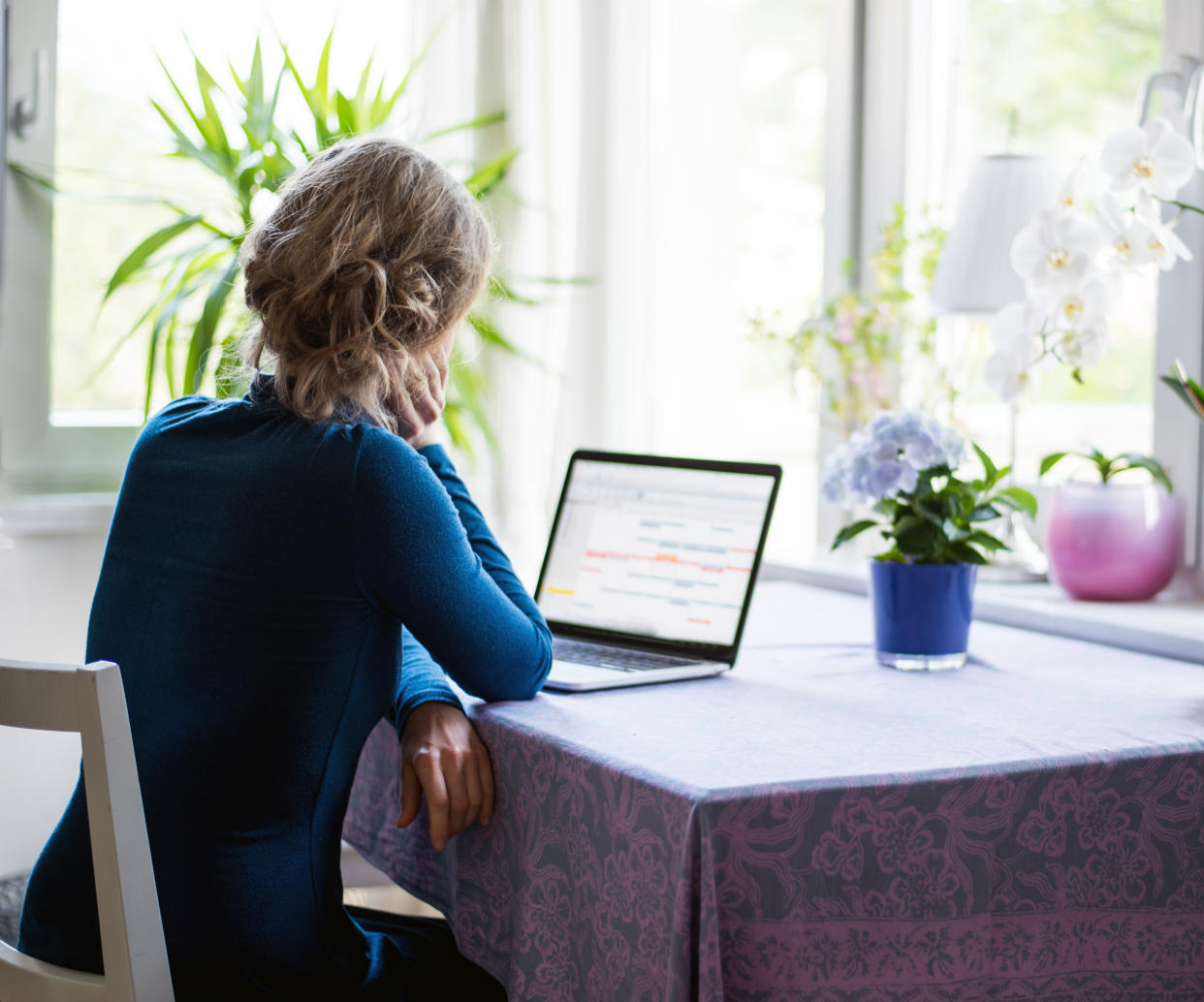 The background photo was taken in a domestic room with bright windows and houseplants.