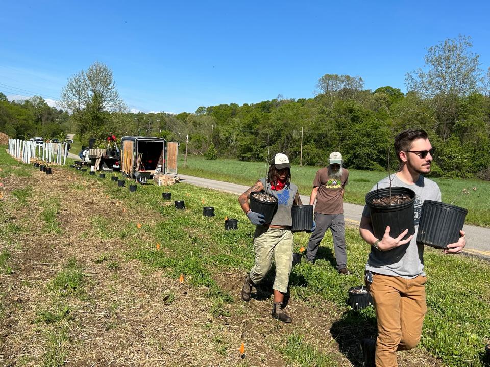 Hardesty Lane Tree Nursery plantings on April 29, 2023.