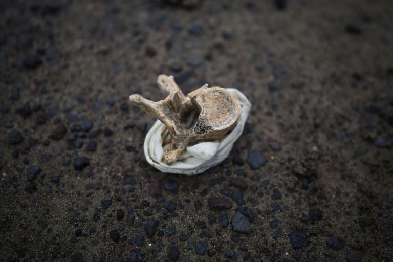 A human vertebra inside a latex glove is seen at the site where a clandestine grave was found one year ago, in Colinas de Santa Fe, Mexico's Veracruz state