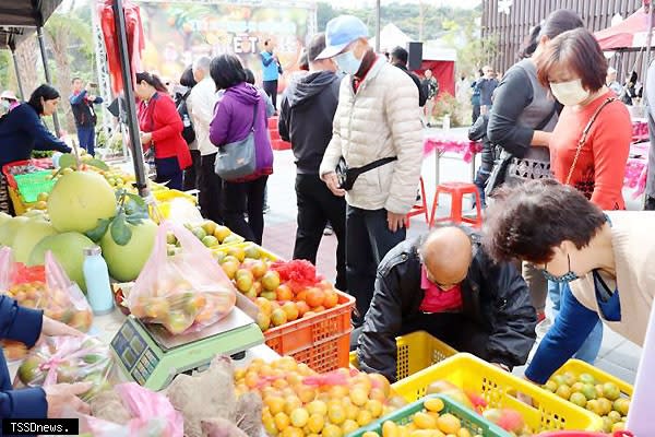 三灣鄉柑桔節活動吸引大批遊客採購品質優異的柑桔。（記者江乾松攝）