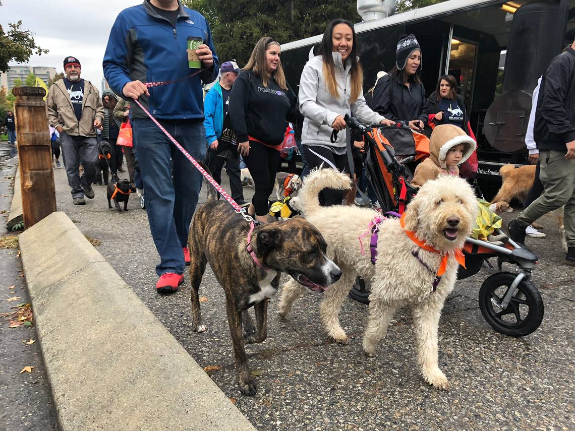 Boiseans and their furry friends will take a group stroll this weekend.