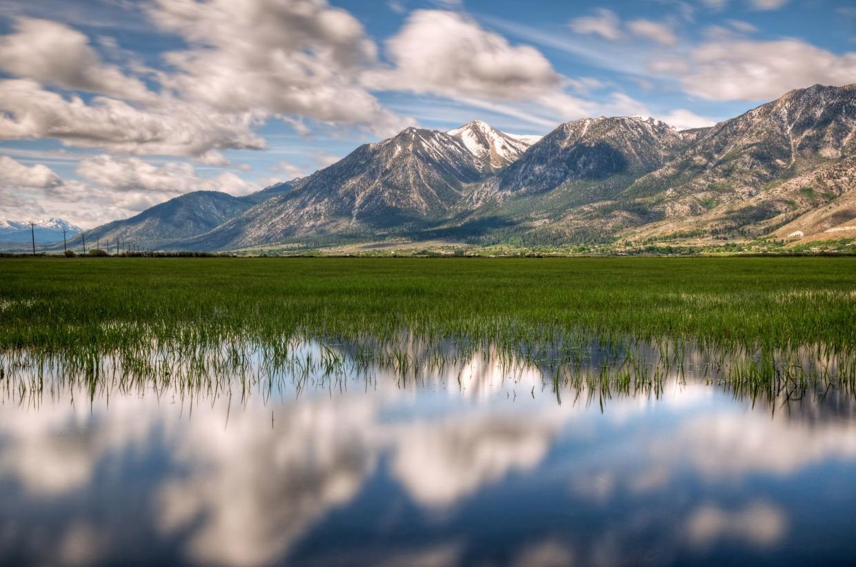 A reflection of Jobs Peak on the green grass of Carson Valley, Nevada.