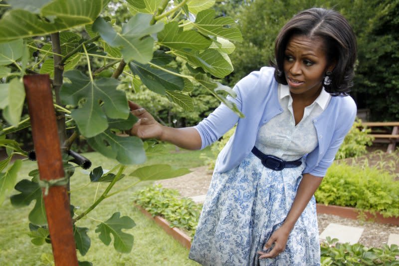為對抗兒童肥胖問題，蜜雪兒身體力行在白宮建菜園。（美聯社）