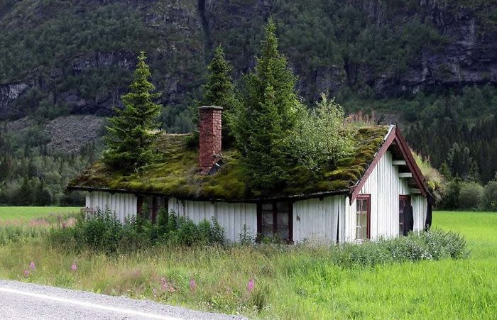 15 fotos que muestran cómo la naturaleza gana la batalla al ser humano