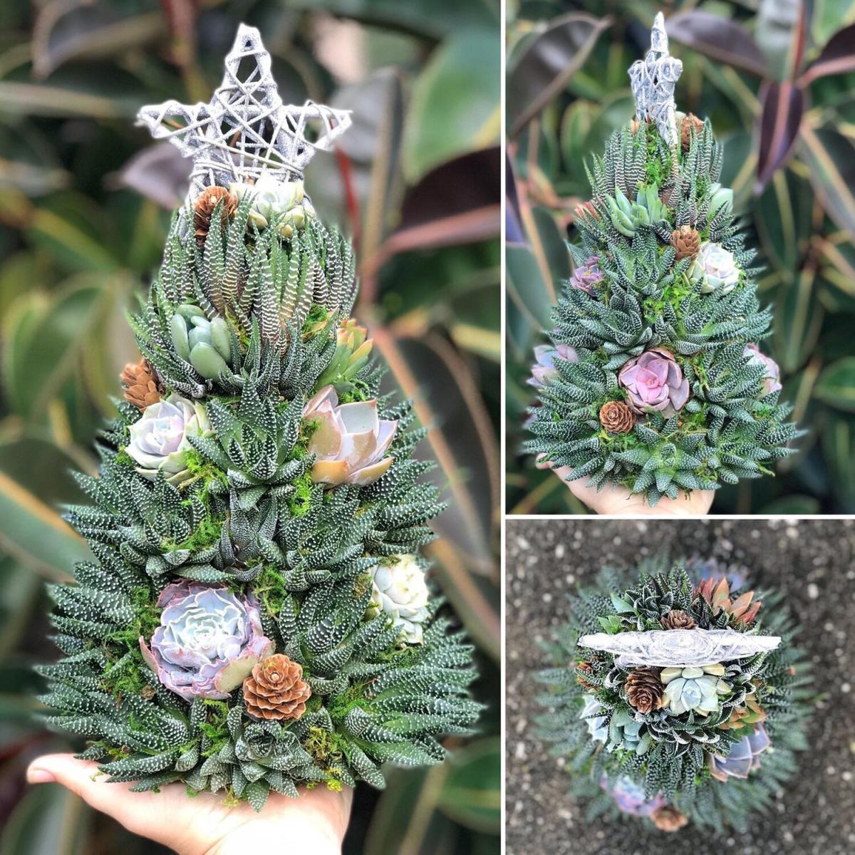 This year's whimsical Christmas trend is here! Deck your halls with these succulent “trees”