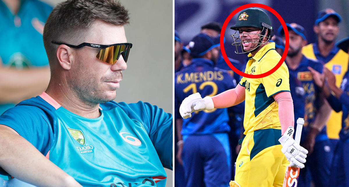 David Warner attacked by referee during World Cup row: ‘Cry baby’