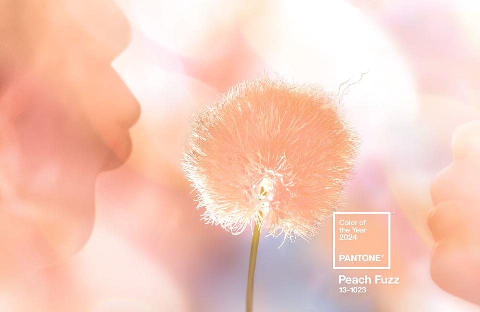 pantone color of the year 2024 peach fuzz