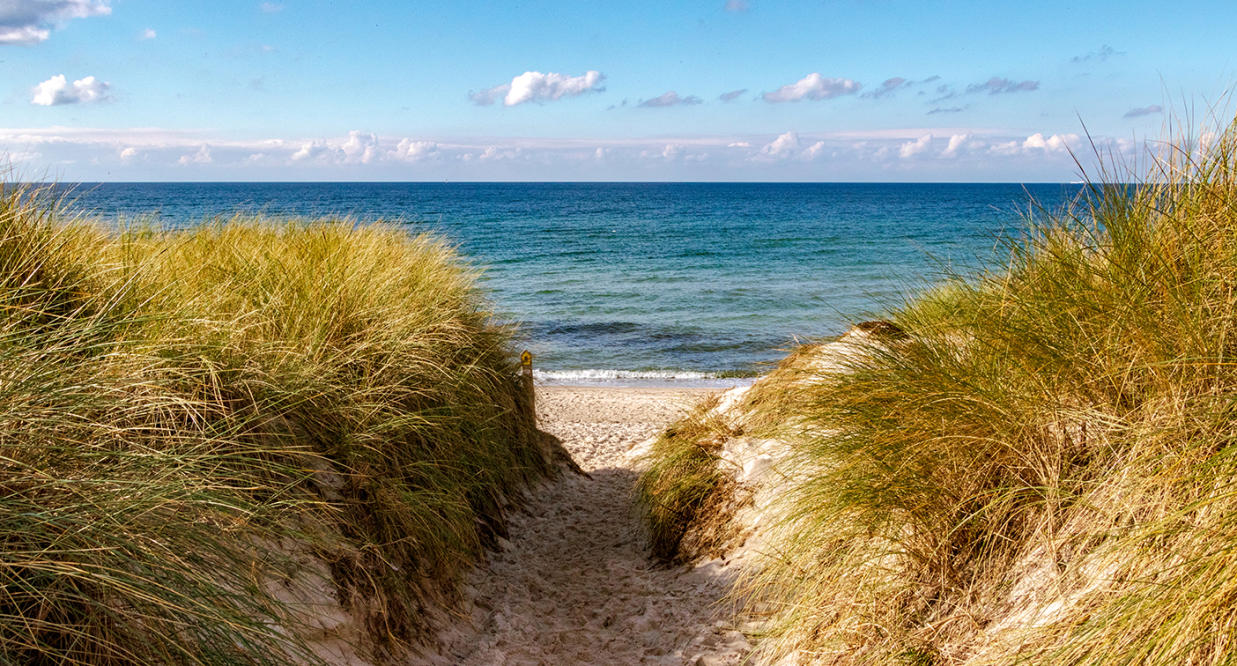 Experts warn of lasting damage caused by having sex on beaches