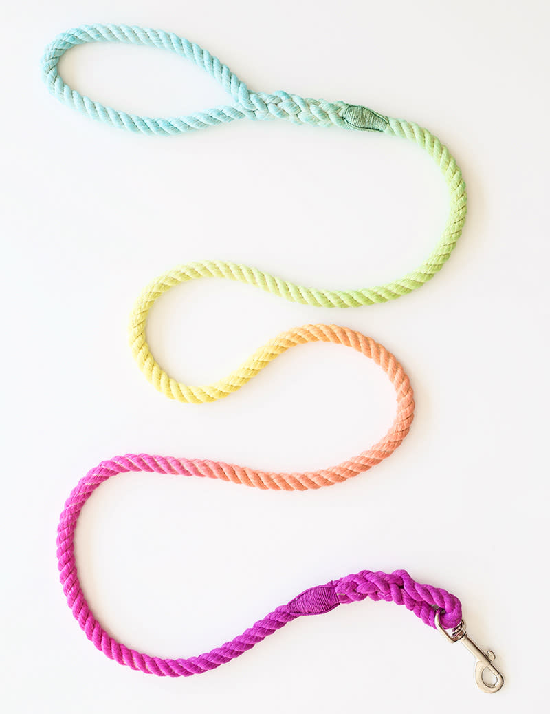 DIY TECHNICOLOR DOG LEASH