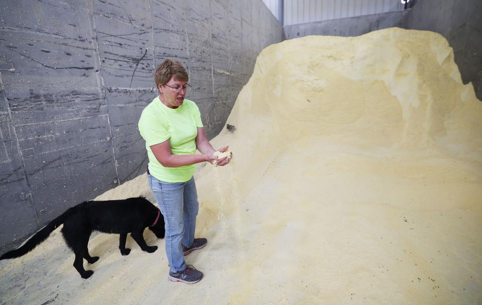 Nye Dairy owner Maria Nye talks about corn meal as part of the cattle feed as the Millard County Farm Bureau hosts a tour of alfalfa farms, water improvements and a dairy to showcase local agriculture in Delta on Wednesday, Sept. 6, 2023. | Jeffrey D. Allred, Deseret News