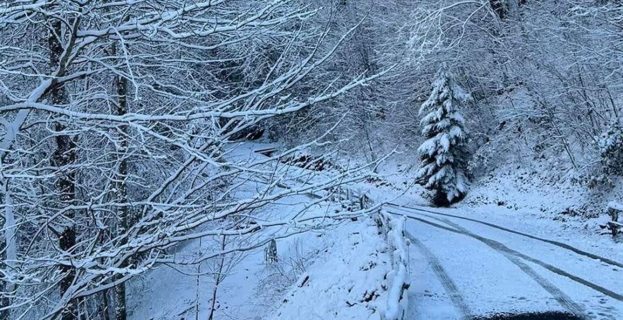 Snow in the Maggie Valley area on Monday. Photo courtesy Dena Beddia