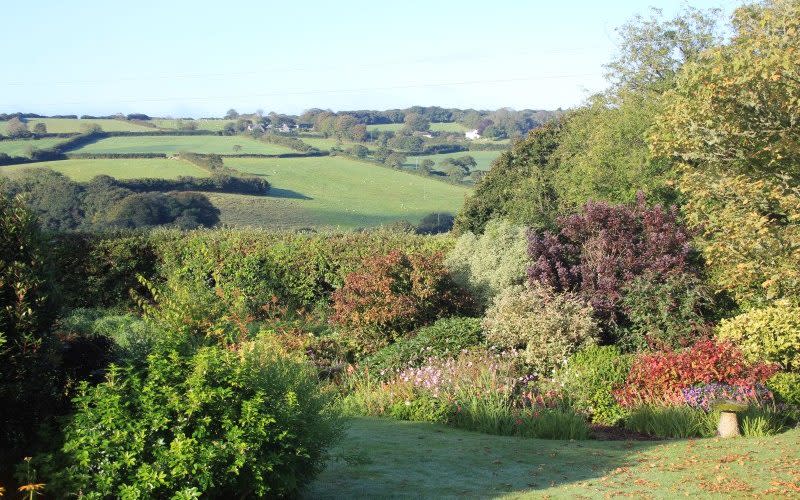 best open gardens to visit this weekend uk 2022 family day trip out - NGS