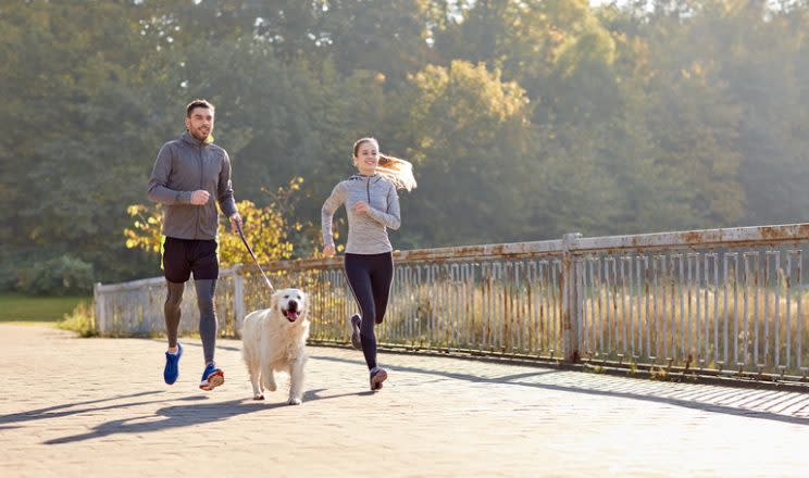 Antes de correr con tu perro, ambos deben estar listos. - Foto: dolgachov/Getty Images