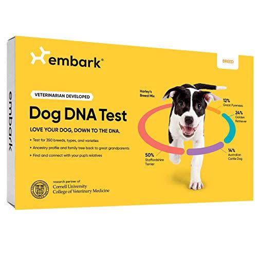 40) Dog DNA Test Breed Identification Kit