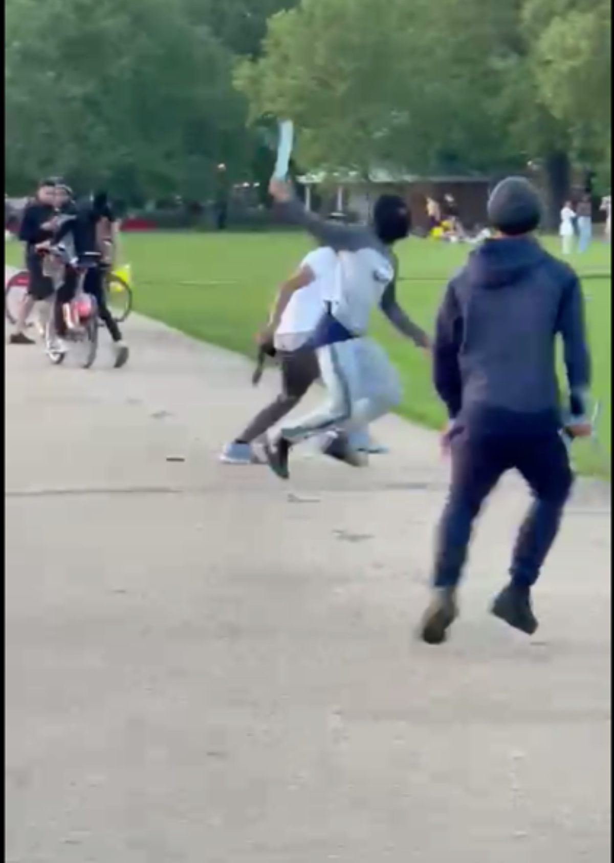 Disorder in Hyde Park (Metropolitan Police/PA)