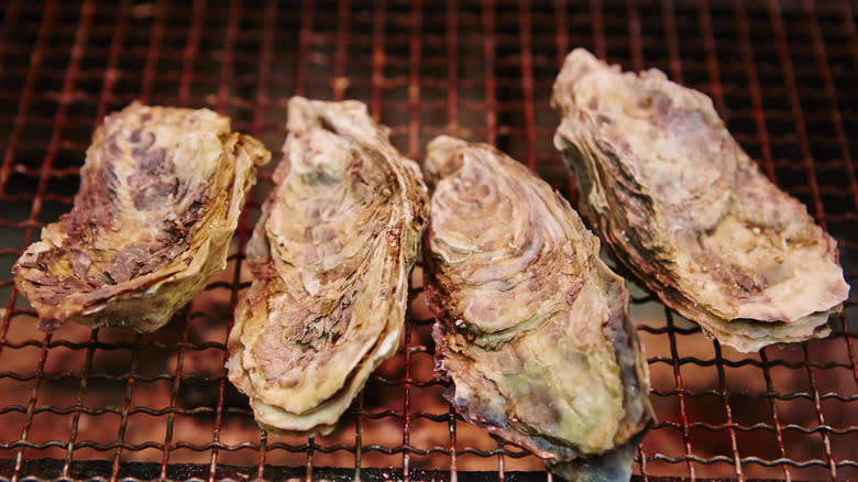 oysters on rack