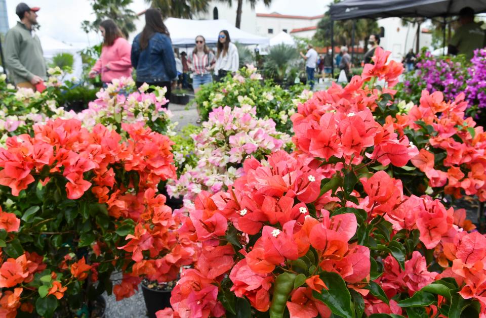 Shop for your garden at the Downtown Melbourne Botanical Fest on Saturday, April 13. Visit downtownmelbourne.com.