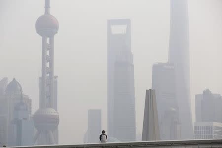 A man wearing a face mask stands on a bridge in front of the financial district of Pudong on a hazy day, in Shanghai November 17, 2014. REUTERS/Aly Song