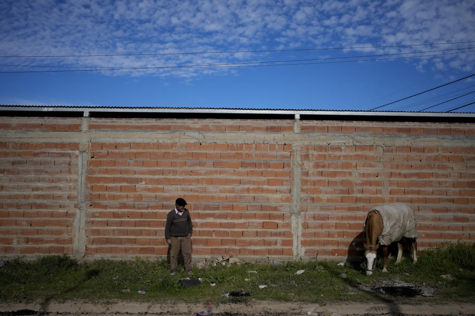 Argentine Sixto Fernandez, retired, watches his horse eat grass in Gualeguaychu in the Entre Rios province of Argentina, a few kilometers from the Uruguayan border, Friday, June 30, 2023. “We are going to become Uruguayans pretty soon,” said Fernandez. “You go to the supermarket and it’s always full. They’re everywhere, they’re like ants," referring to shoppers who cross the border into Argentina to take advantage of the exchange rate. (AP Photo/Natacha Pisarenko)